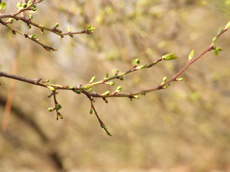 Similar image 152302