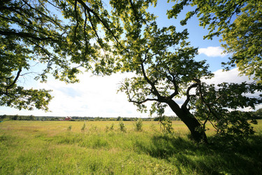 Similar image 152304