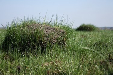 Similar image 152389