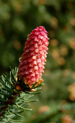 Similar image 152393