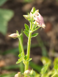 Similar image 152402