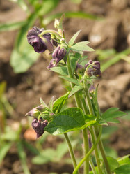 Similar image 152403