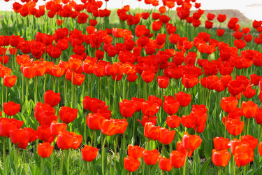 Similar image 152447