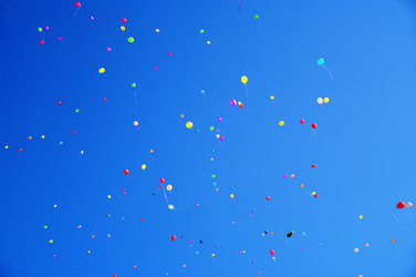 Similar image 152455