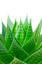 Similar image 152573