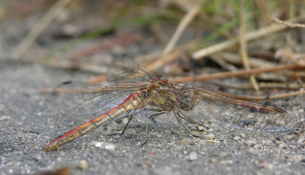 Similar image 152577