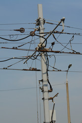 Similar image 152616