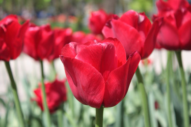 Similar image 152657