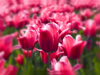 Similar image 152658