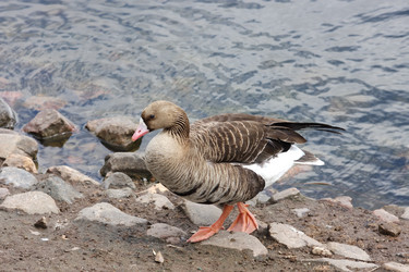 Similar image 152660