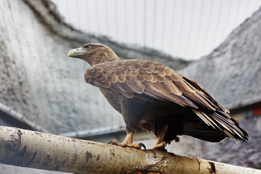 Similar image 152663