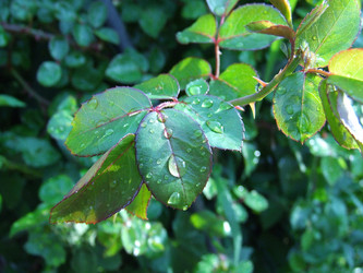 Similar image 152665