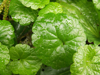 Similar image 152666