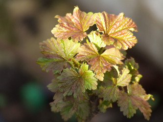 Similar image 152667