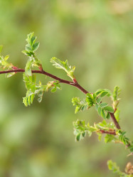 Similar image 152668