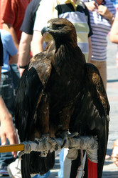 Similar image 152676