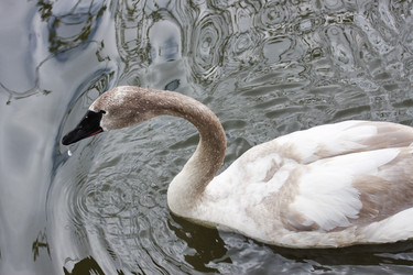 Similar image 152682