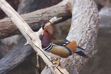 Similar image 152686