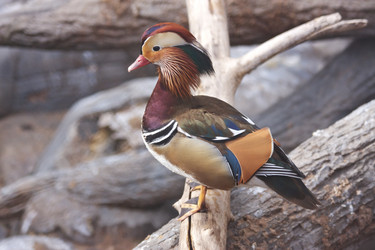 Similar image 152688