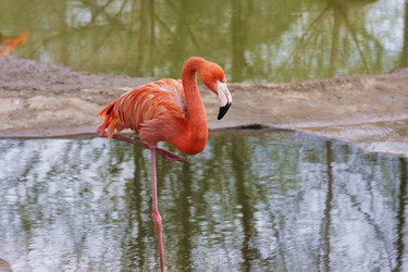 Similar image 152691