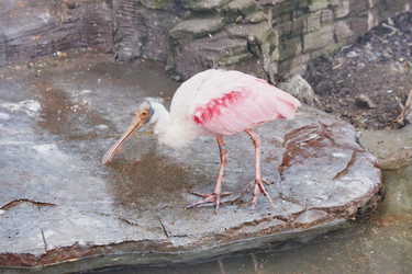 Similar image 152693