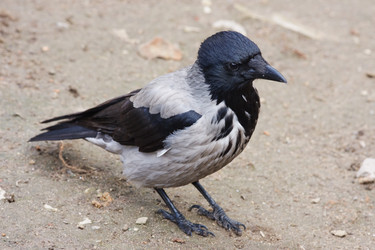 Similar image 152698