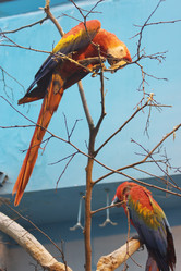 Similar image 152704