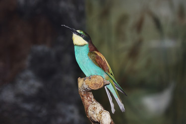 Similar image 152706