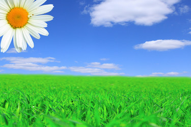 Similar image 152724