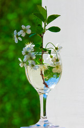 Similar image 152727