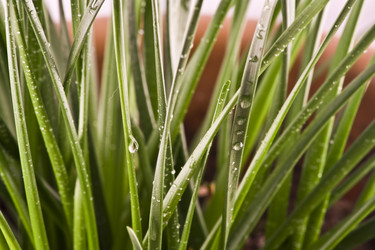 Similar image 152753