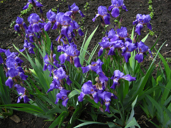 Similar image 152766