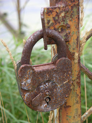 Similar image 152771