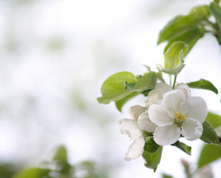 Similar image 152775