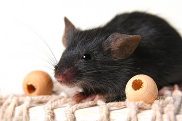 Similar image 152777