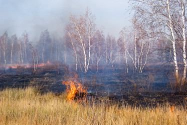 Similar image 152804