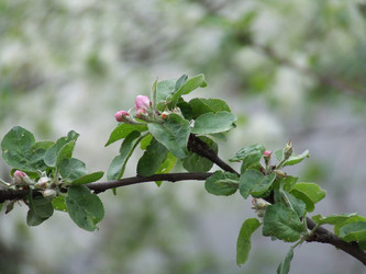 Similar image 152808