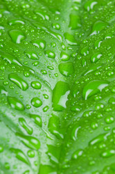 Similar image 152813