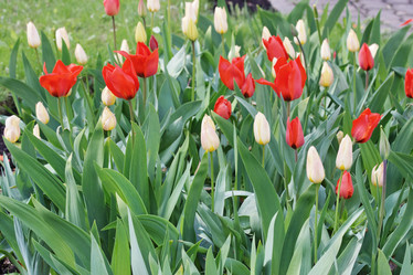 Similar image 152821