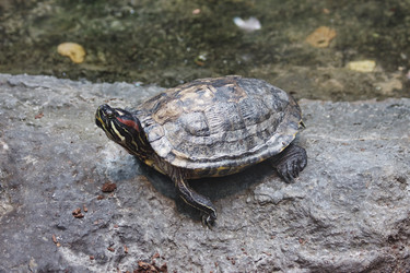 Similar image 152822