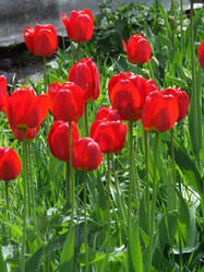 Similar image 152895