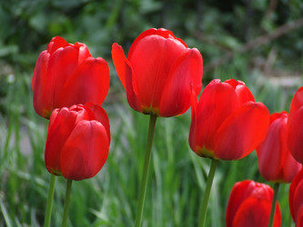 Similar image 152896