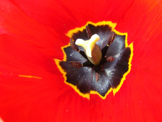 Similar image 152918