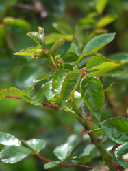 Similar image 152953