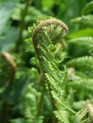 Similar image 152954