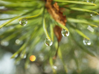 Similar image 152963