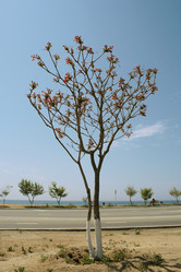 Similar image 153023