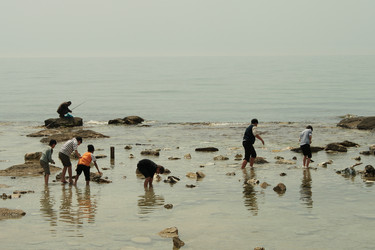 Similar image 153024