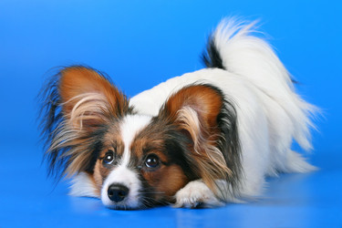 Similar image 153090