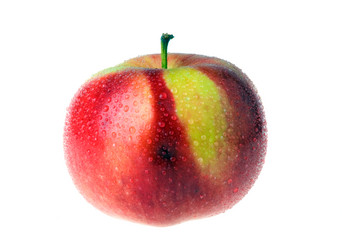 Similar image 153172